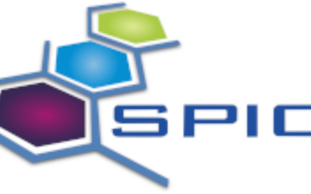 Colloque Science et Technologie des Systèmes π-Conjugués (SPIC) 2025